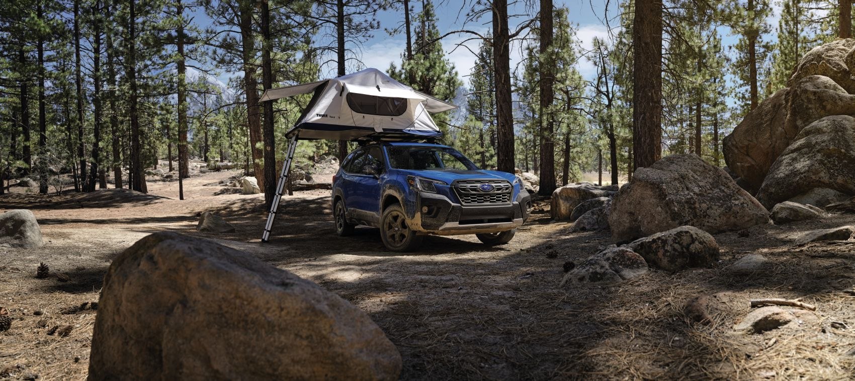 Subaru Forester Pareri (2021 - prezent) Lexus